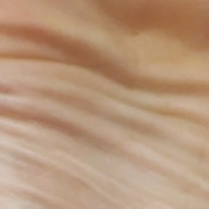 Meet your Posher, Trevor